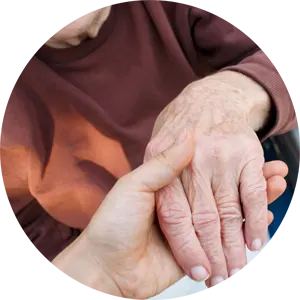Chiropractor for seniors in Boulder, CO